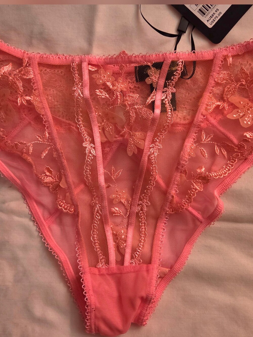 NWT Honey Birdette Sabrina Brief Panties - Candy Pink - Size Medium